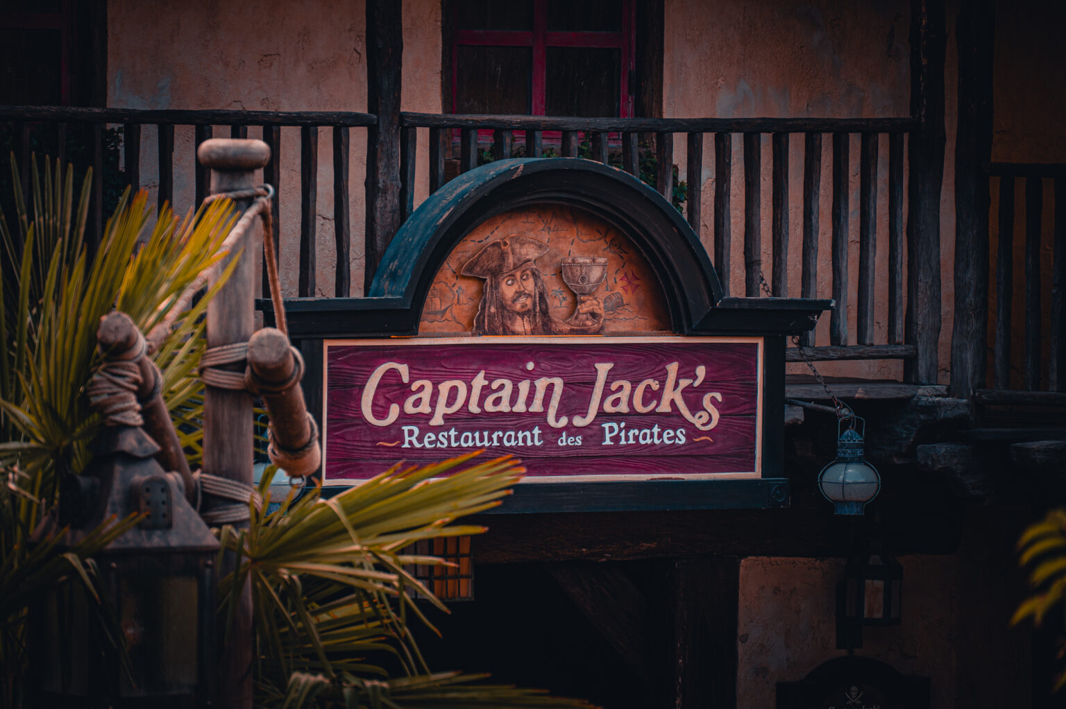 © DLP Explorers