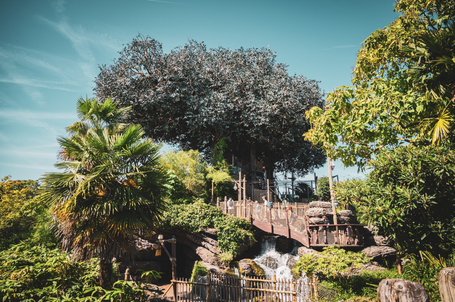 © DLP Explorers