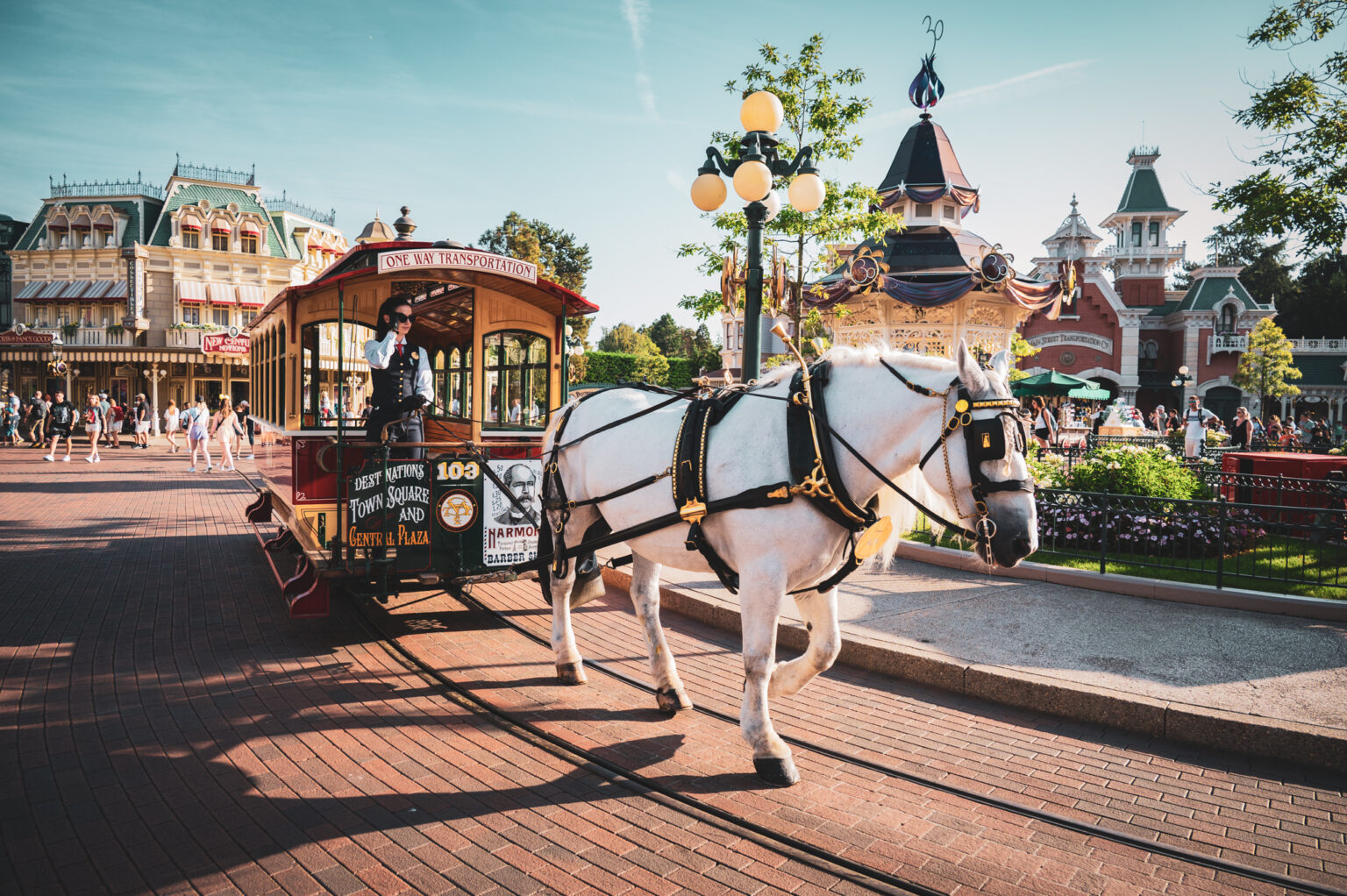 © DLP Explorers