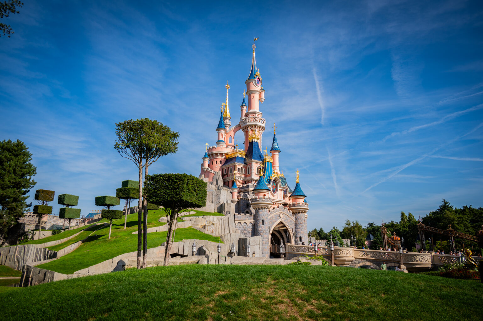 © DLP Explorers
