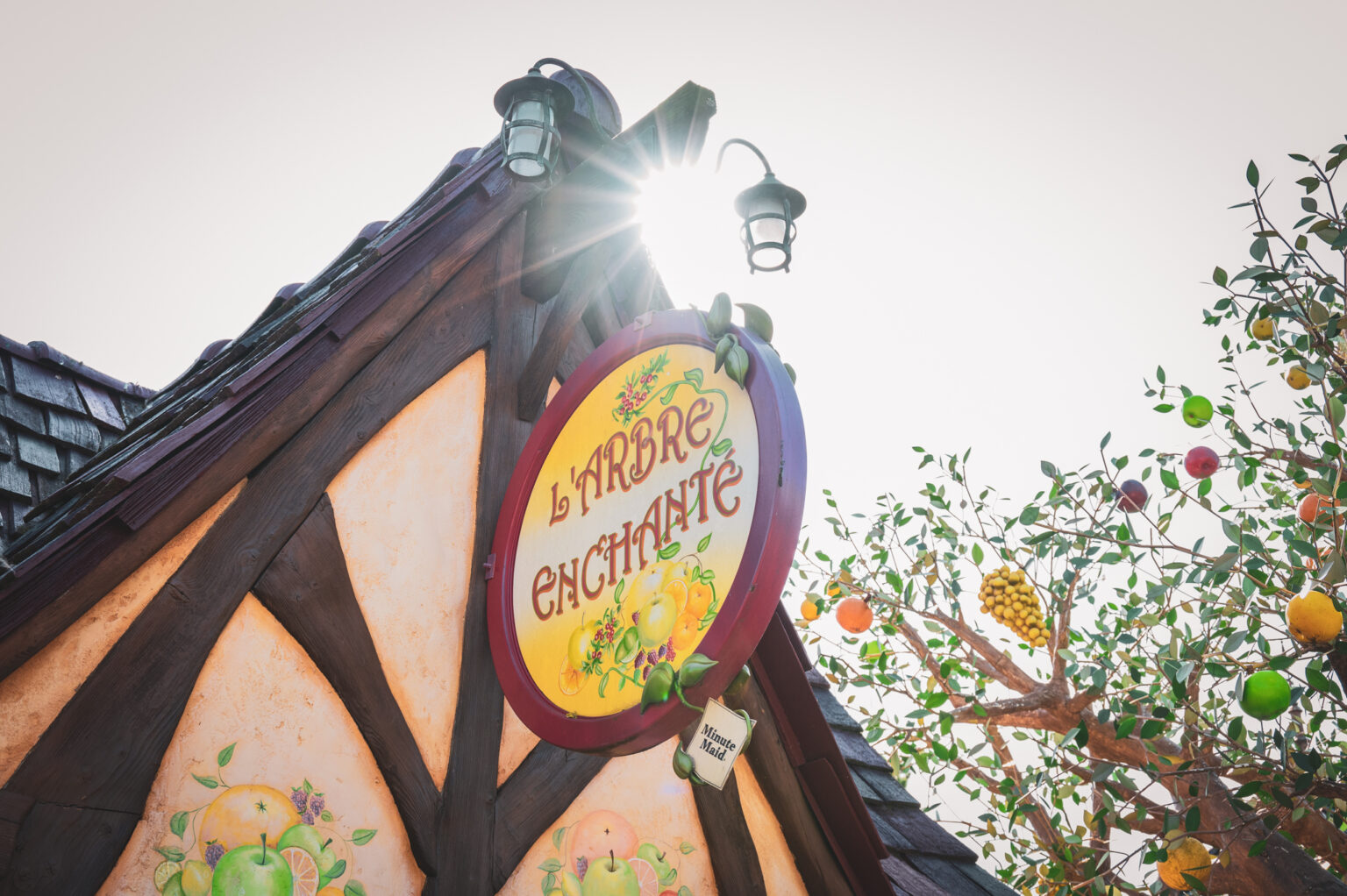 © DLP Explorers