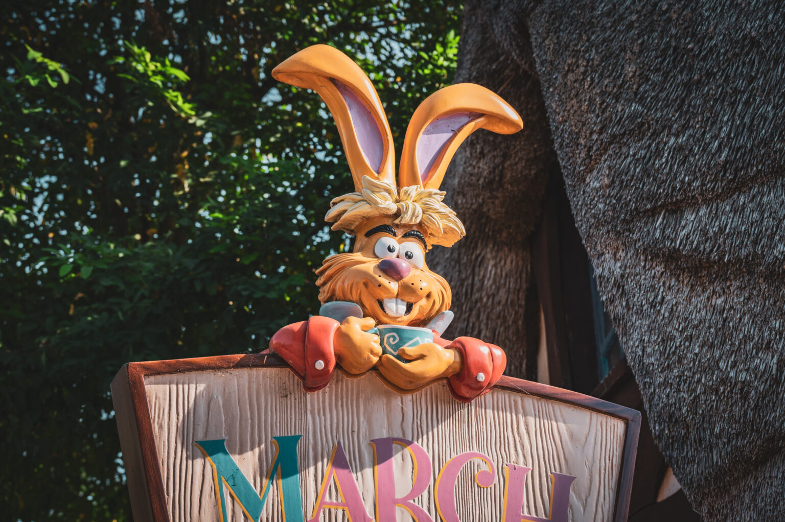 © DLP Explorers