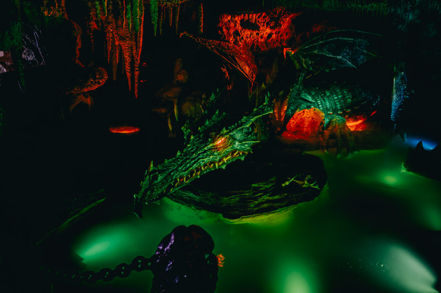 © DLP Explorers